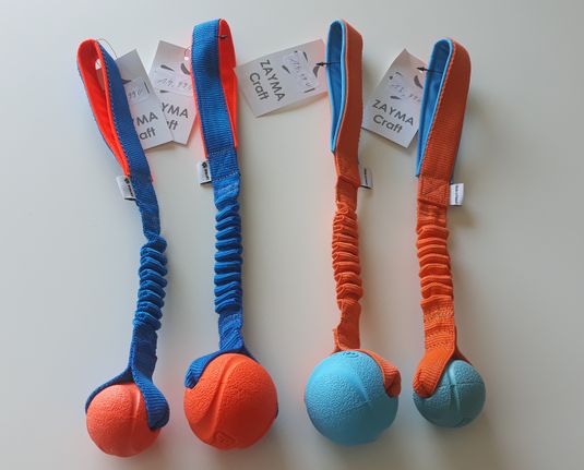 Chuckit! Fetch Ball bungee ( orange , blue )